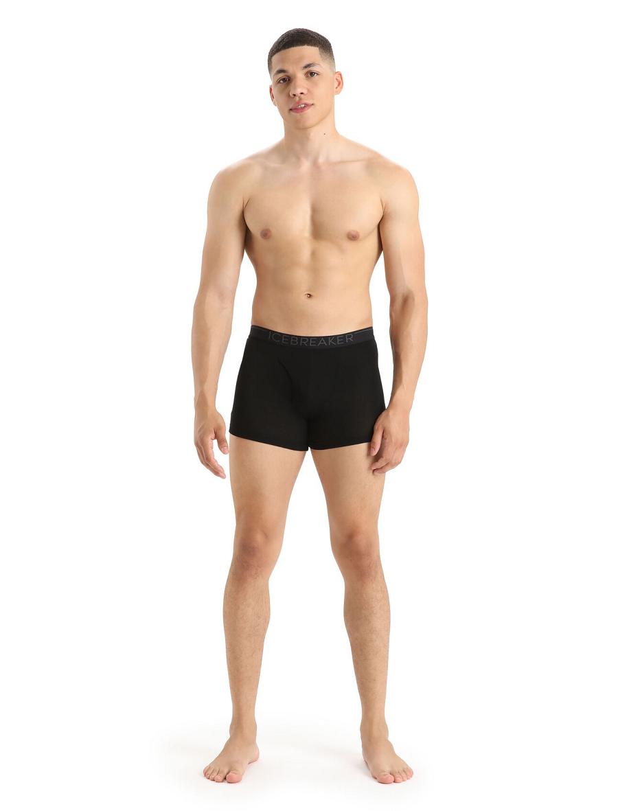 Sous Vêtement Icebreaker Merino 175 Everyday Thermal Boxers With Fly Homme Noir | FR 1293VRWD